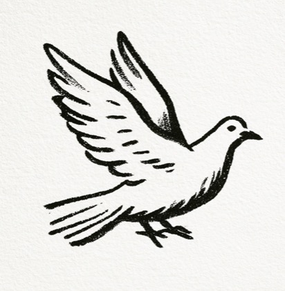 Hand-drawn ink illustration of a dove carrying an olive branch